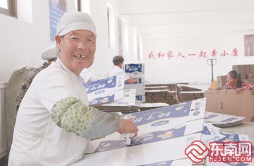 “援建之光·閩寧24年”采訪團直擊閩寧協(xié)作成果：貧瘠土地變成塞上明珠