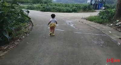 為救7歲白血病哥哥 3歲妹妹每天跟著家人跑步