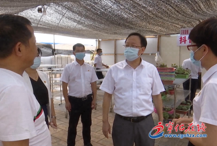 市領導來寧調研