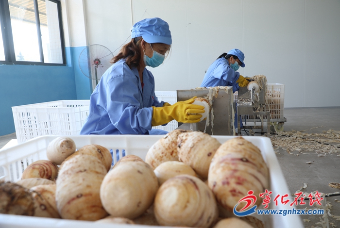 寧化：農副產品加工及冷鏈配送一體化建設項目投入生產