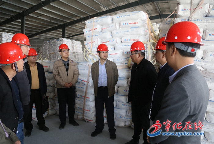 寧化縣領導開展項目工作調研