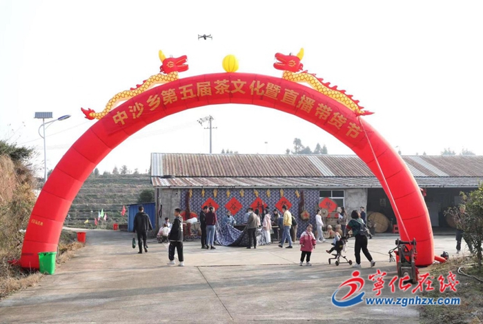 寧化中沙鄉(xiāng)舉辦第五屆茶文化暨直播帶貨節(jié)