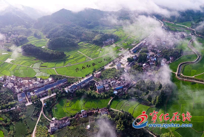 政府工作報告解讀|今后五年主要目標,堅持生態優先,打造綠色田園