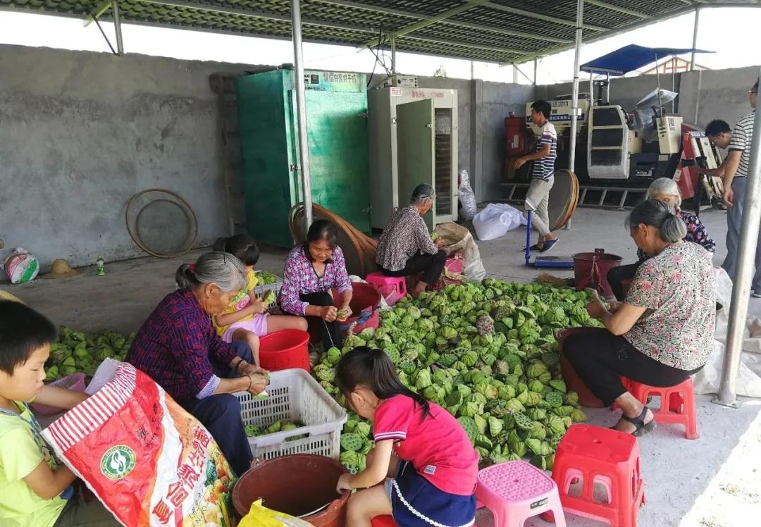 【小康來敲門】紅土地上拔窮根，寧化這里的村民生活越過越紅火