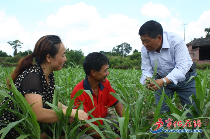 寧化:紅土地上拔窮根
