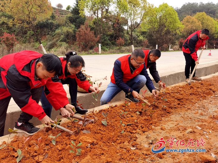 寧化：黨員補(bǔ)植復(fù)綠添春光