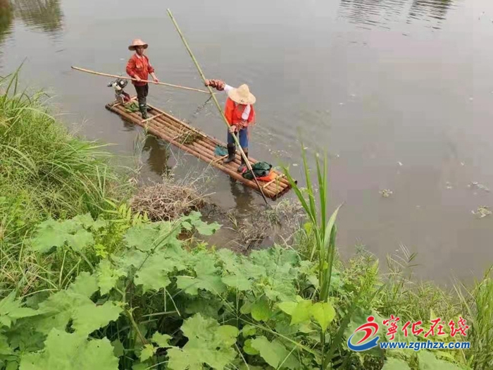 寧化縣翠江鎮：人大代表“巡河問水” 守護碧水清流