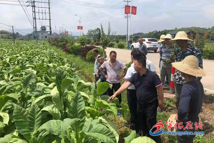寧化淮土鎮(zhèn):遭受暴雨襲擊,全力開(kāi)展生產(chǎn)自救