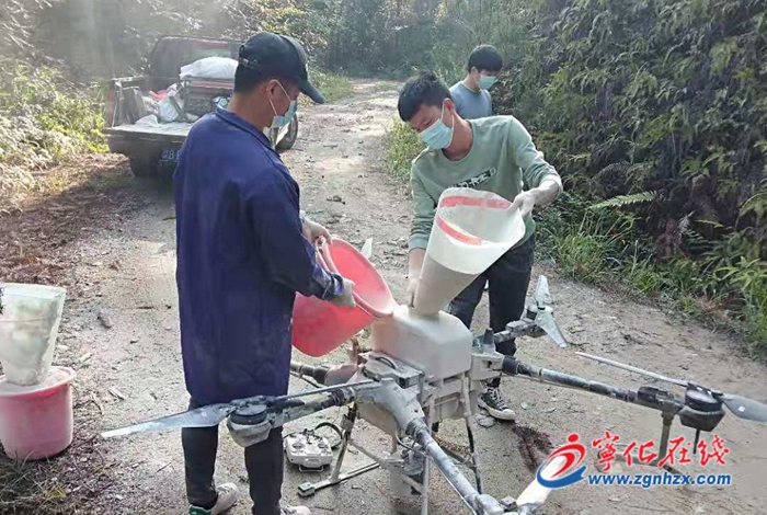 寧化采用無人機防治森林病蟲害