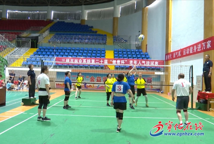 市林業(yè)系統(tǒng)第二十屆老年人氣排球賽在寧化舉行