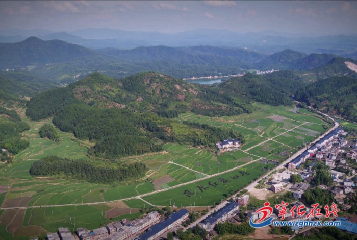 寧化河龍鄉(xiāng)舉辦貢米高產(chǎn)栽培技術培訓