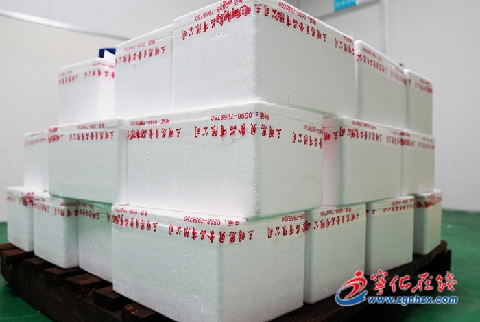 寧化:鄉賢回歸辦實業