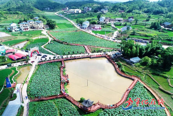 黨旗在基層一線高高飄揚|團結就是力量!寧化縣淮土鎮團結聯村聯出鄉村振興新動力