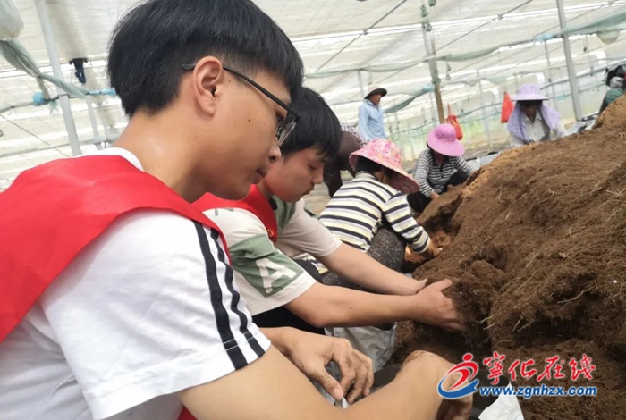 福建師范大學(xué)在寧開展“三下鄉(xiāng)”活動