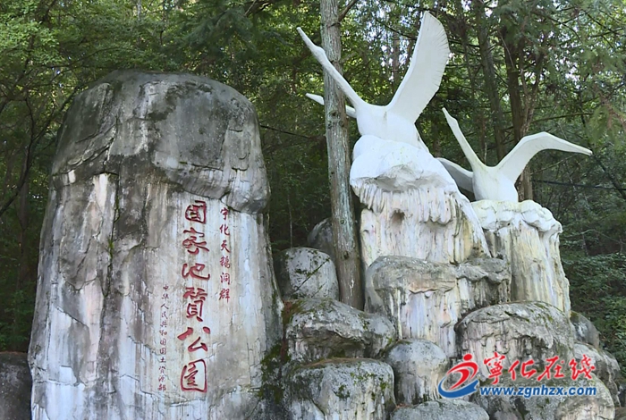 【牢記囑托再出發(fā) 攻堅(jiān)克難促發(fā)展——寧化這五年】立足生態(tài)優(yōu)勢 打造康養(yǎng)福地