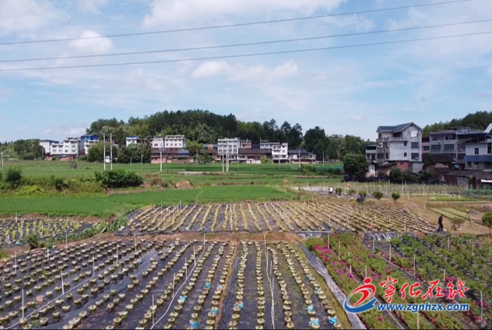 淮土鎮:引入園林企業 助力鄉村振興