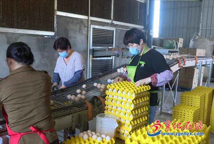 方田鄉：推進鄉村振興 譜寫宜居宜業新篇章