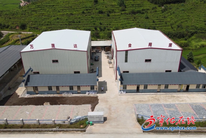 石壁鎮溪背畬族村:大力招商引資 促進鄉村振興