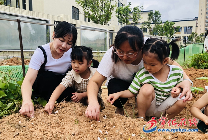 寧化縣連岡幼兒園開展“親自然，真探究”勞動實踐活動