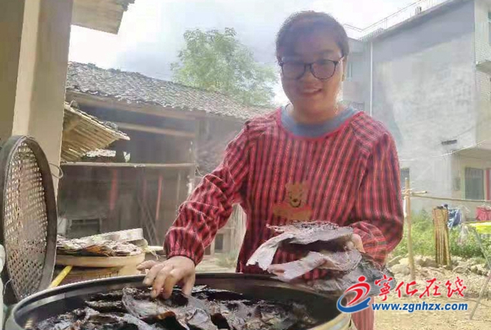 寧化：稻花香里鯉魚肥