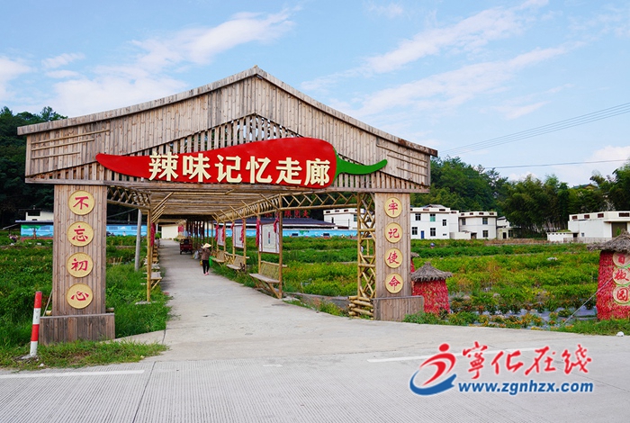 【奮進新征程 建功新時代·非凡十年——部門篇】縣農業農村局:全面推進鄉村振興 農業現代化建設邁上新臺階