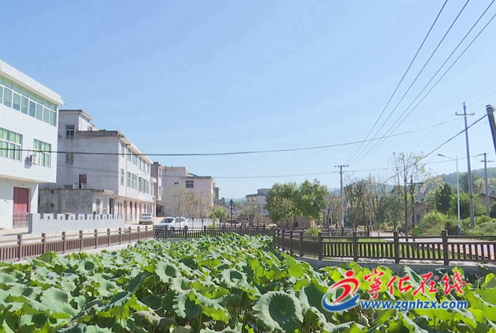 鄉村振興再出發|淮土鎮：改善移民生活條件 打造宜居美麗家園