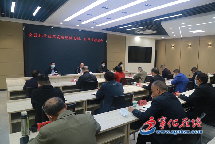 寧化召開全縣林業改革發展暨林長制、竹產業推進會