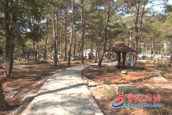 【鄉村振興再出發】湖村鎮:提升改造公園環境 推進鄉村建設