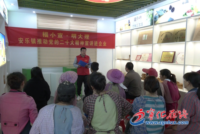 【深入學(xué)習(xí)宣傳貫徹黨的二十大精神】寧化：推動(dòng)學(xué)習(xí)宣傳貫徹黨的二十大精神走深走實(shí)