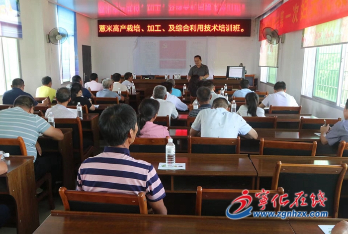 寧化500人參加職業(yè)技能培訓