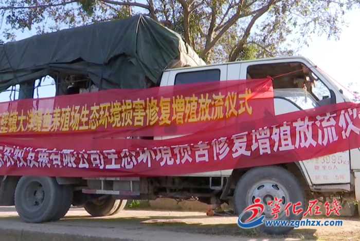 寧化開展生態環境損害修復增殖放流活動