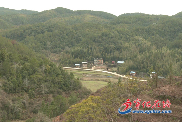 寧化:持續(xù)松林改造 奮力實(shí)現(xiàn)“開(kāi)門(mén)紅”