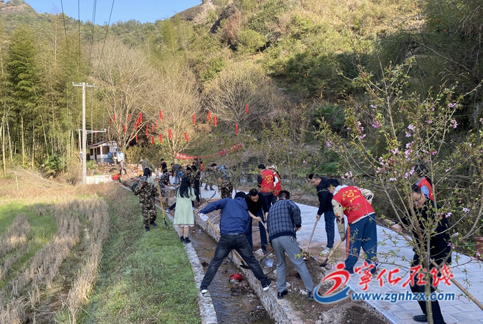 “添綠”正當(dāng)時!寧化各界開展植樹節(jié)主題活動