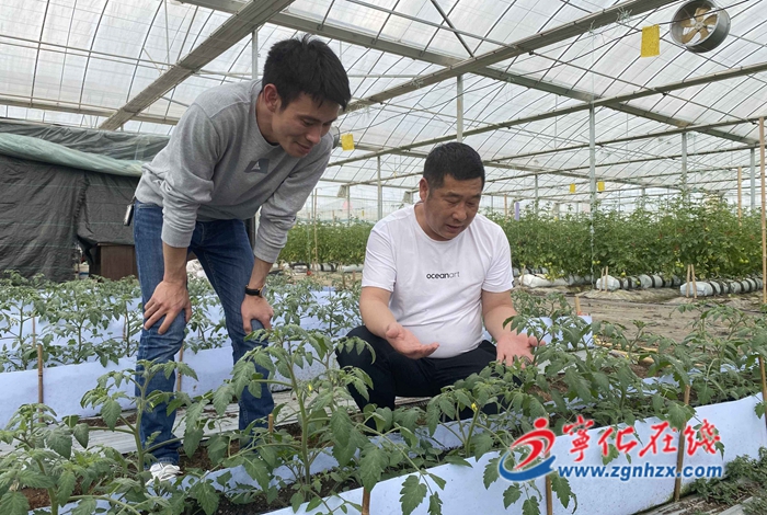 寧化:“百名導師扶百村”賦能鄉村振興