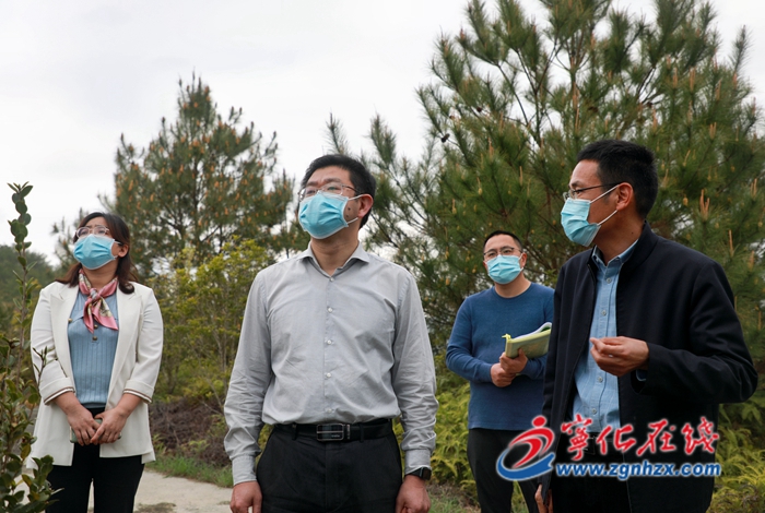 寧化縣領(lǐng)導(dǎo)開展水土保持工作項(xiàng)目調(diào)研