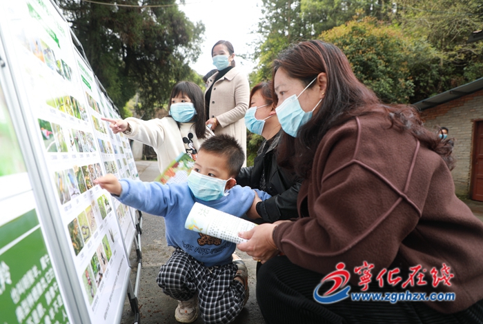 愛鳥護鳥,寧化在行動