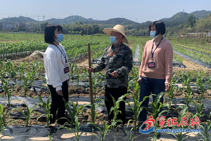 寧化：地頭忙監(jiān)督 百姓心里安