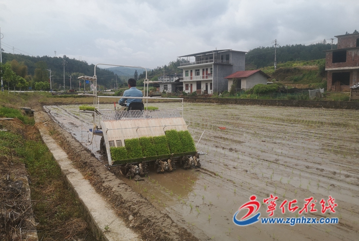 寧化方田鄉(xiāng):特色產(chǎn)業(yè)引領(lǐng)農(nóng)戶增收