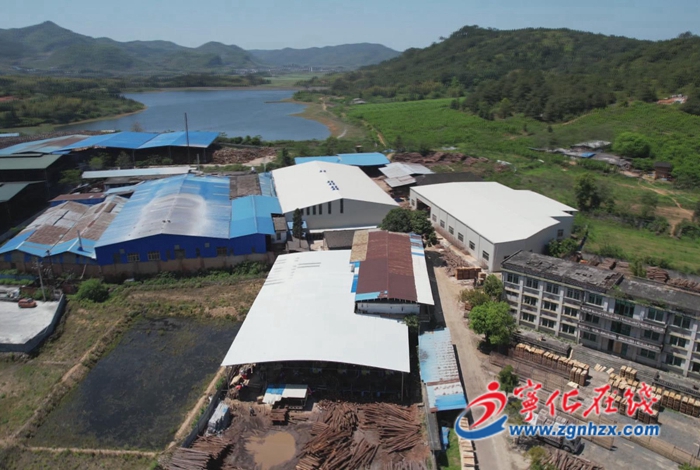 寧化縣湖村鎮(zhèn):壯大木材產(chǎn)業(yè),助力鄉(xiāng)村振興