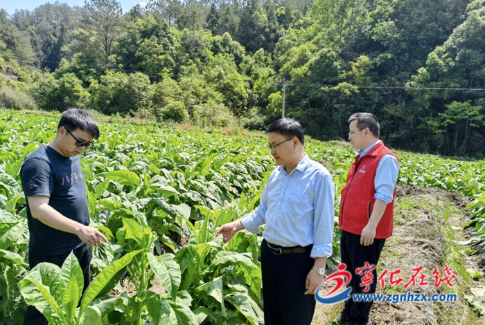 寧化聯(lián)社積極開展災(zāi)后精準幫扶工作