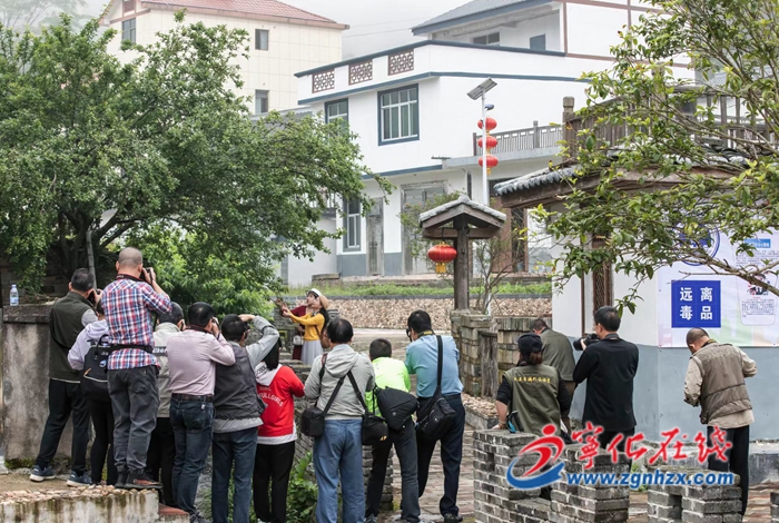 寧化城南:“喜迎黨的二十大,秀出鄉村振興新變化”攝影大賽啟動