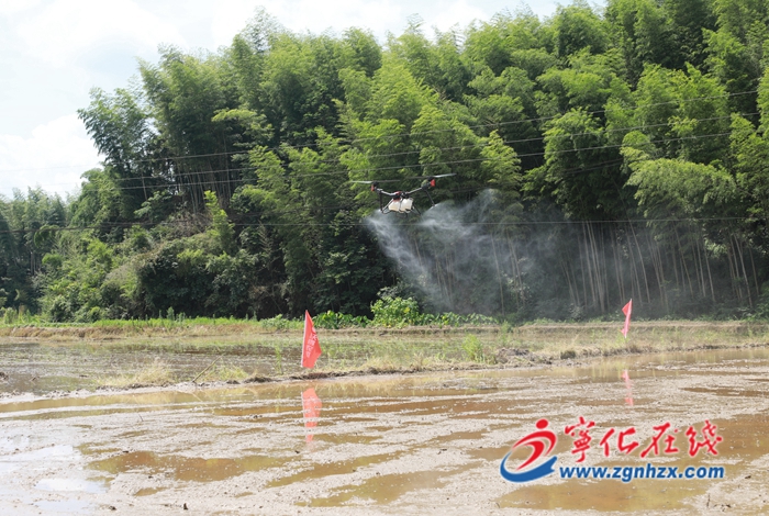 寧化：無人機“飛播”顯身手
