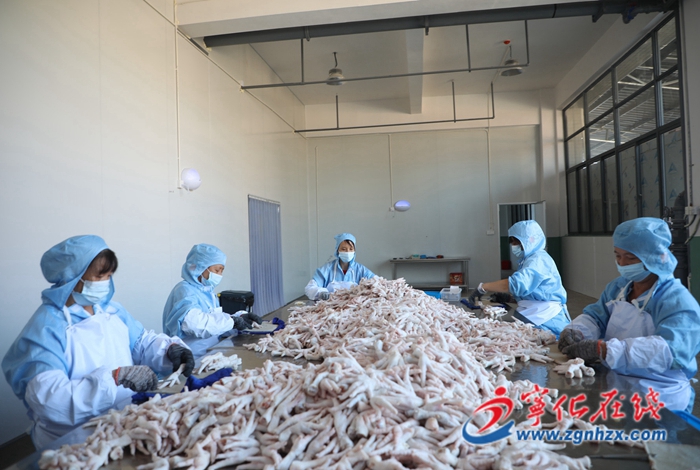 寧化:去骨雞爪產銷兩旺
