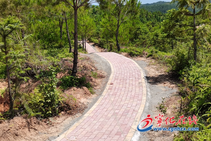 寧化方田鄉(xiāng):以工代賑助力鄉(xiāng)村振興