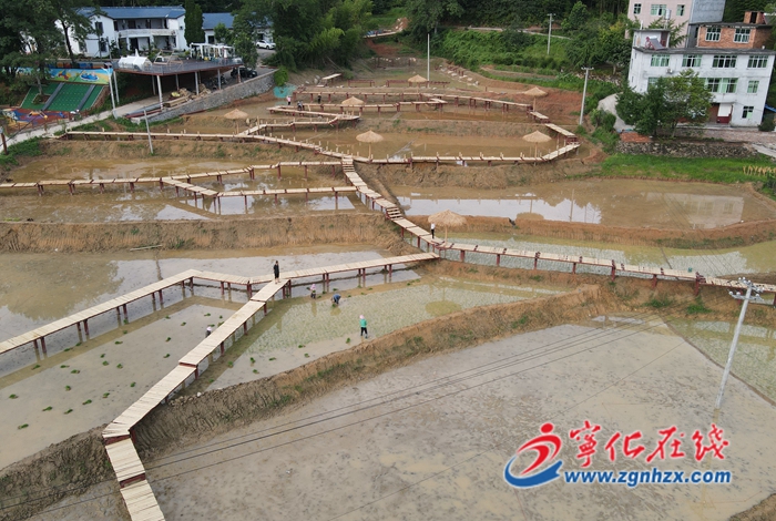 寧化城郊:特色近郊游助力鄉村振興