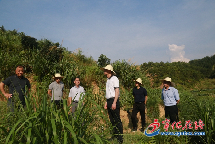 縣領(lǐng)導(dǎo)開(kāi)展鄉(xiāng)村振興及糧食安全工作調(diào)研