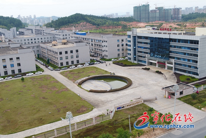 喜迎二十大|寧化：深化對接 力促項目落地見效