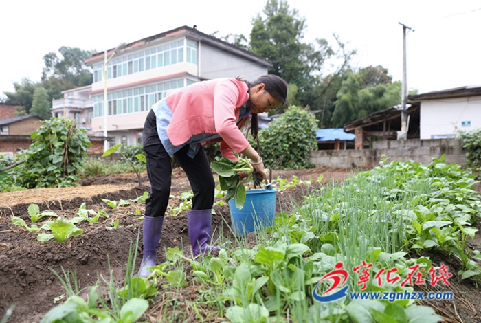 葉香:用愛和責(zé)任撐起一個家