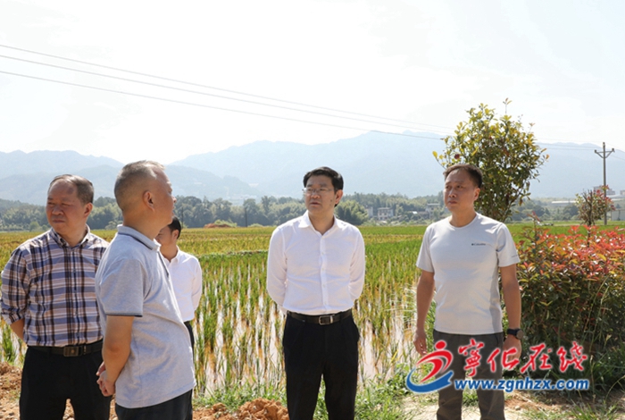 寧化縣領導開展主題教育專題調(diào)研