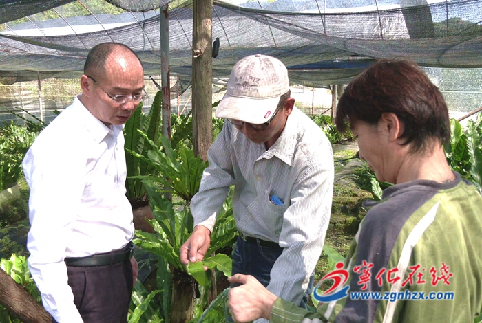 寧化縣領導開展主題教育專題調研